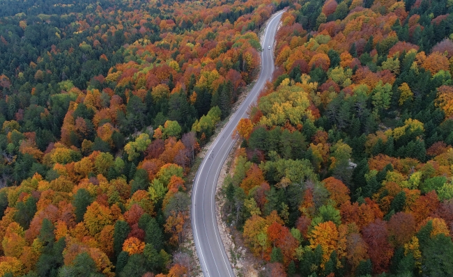 Sonbahar Uludağ'ı rengarenk ağaçlarla süsledi